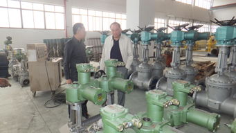 常州蘭陵自動(dòng)化公司成功開發(fā)新一代多回轉(zhuǎn)閥門電動(dòng)裝置，引領(lǐng)工業(yè)自動(dòng)化技術(shù)革新